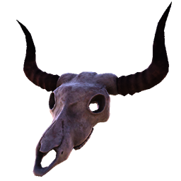 CowSkull