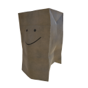 PaperBag